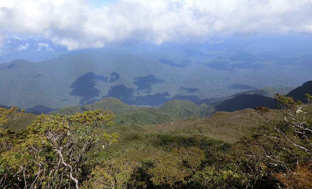 Gunung Tahan 10