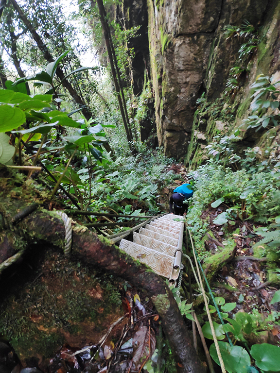 Gunung Tahan 16