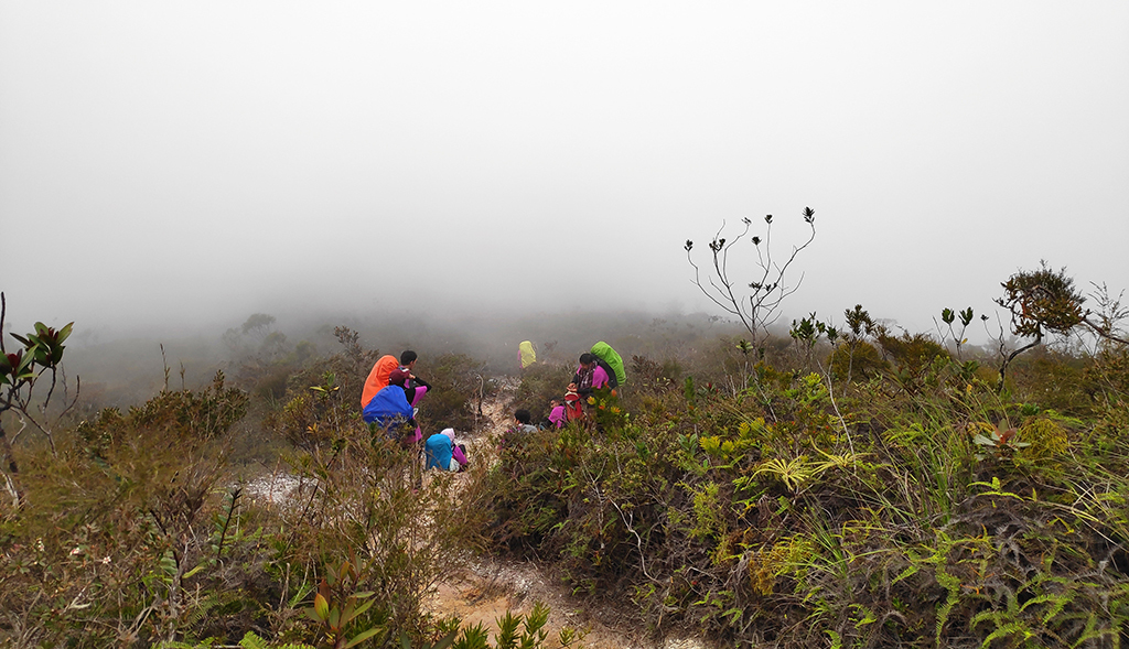 Gunung Tahan 20