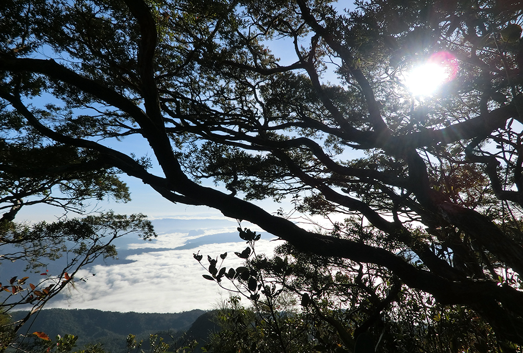 Gunung Tahan 8