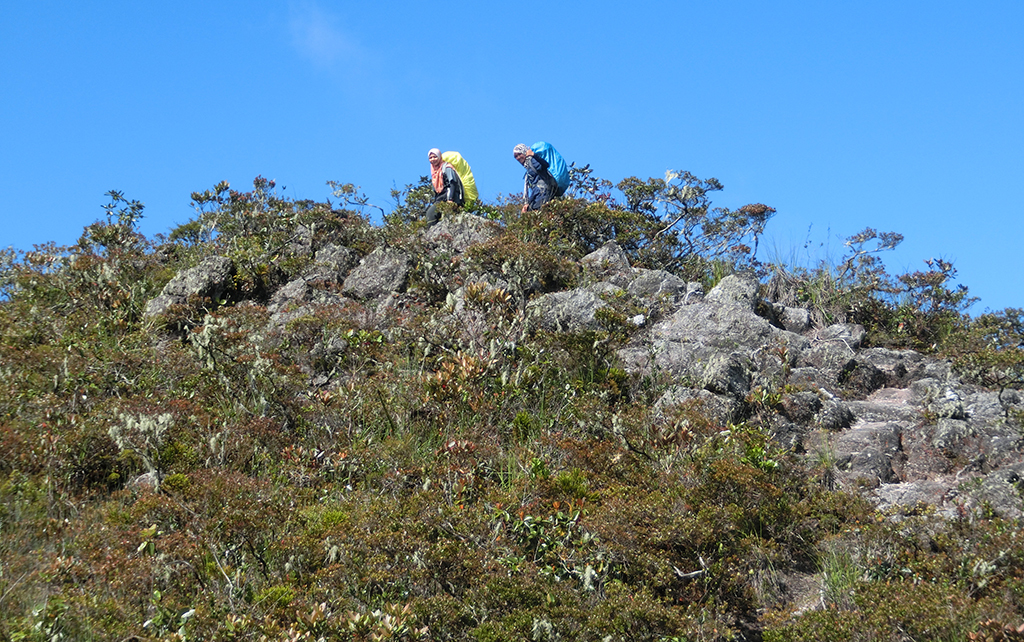 Gunung Tahan 9