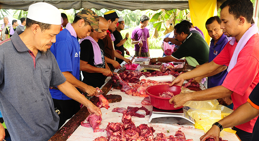 Qurban 5561